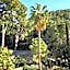 Sheraton Mallorca Arabella Golf Hotel