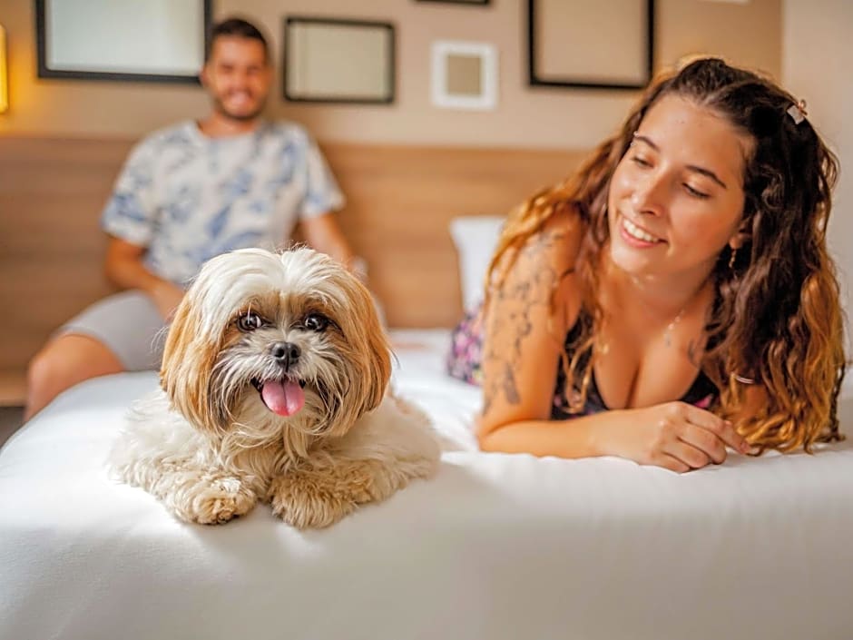 ibis Styles Ribeirao Preto Braz Olaia