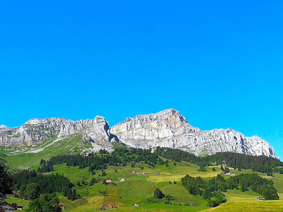 Hotel Posthaus Urigen