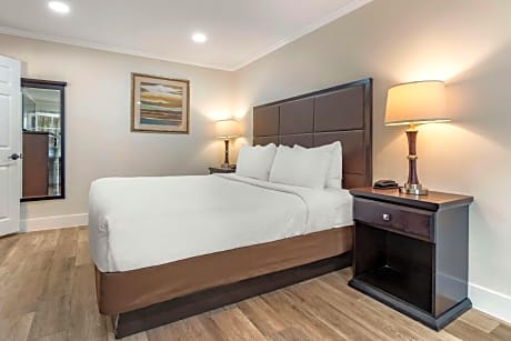 King Room - Non-Smoking