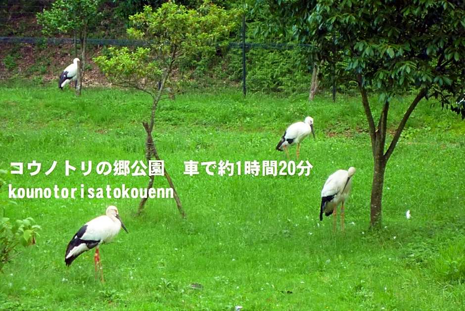 Yonagoya