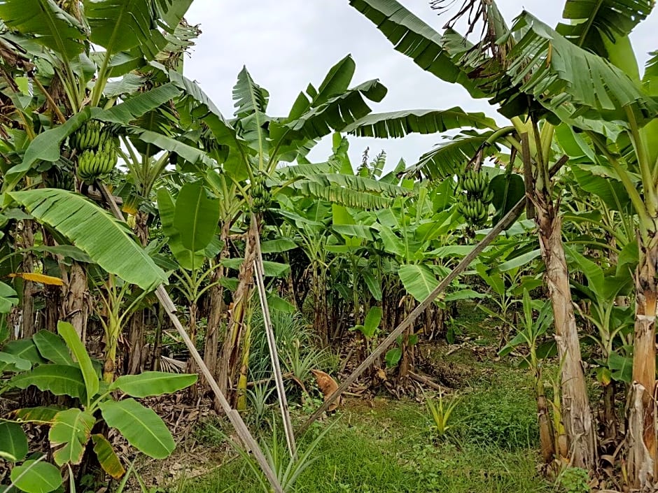 Casa Hotel near KLIA 1