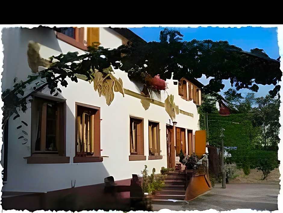 Hotel Rudesheimer Hof - Superior