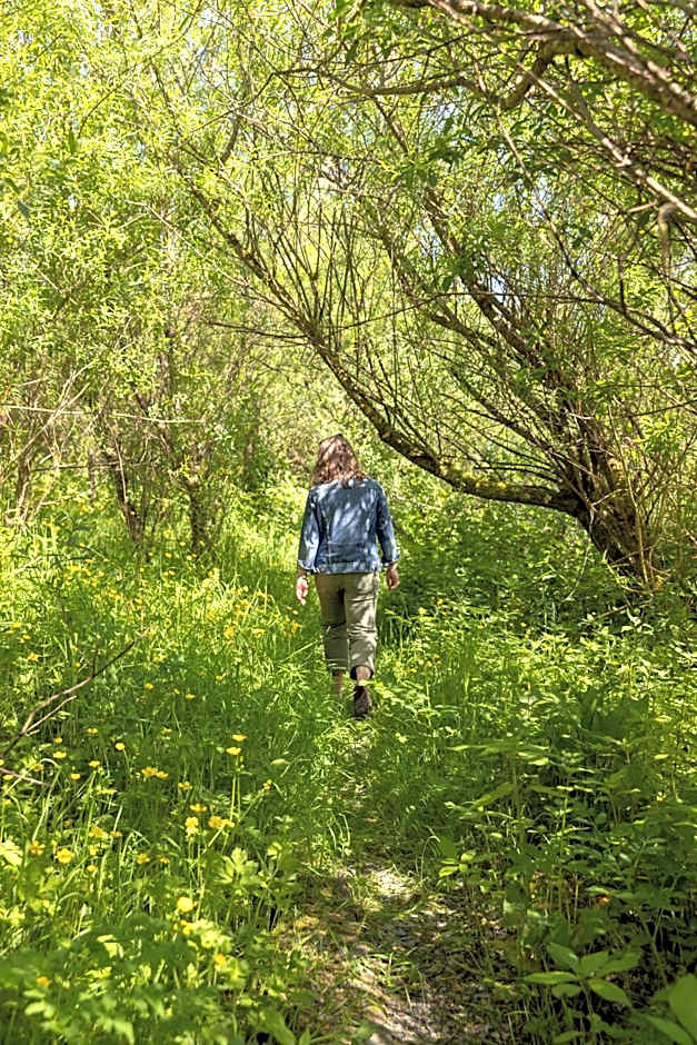 The Common Knowledge Centre