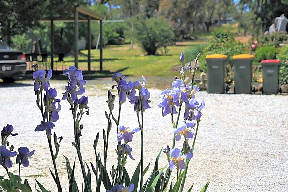 Wattle Grove Motel Maryborough