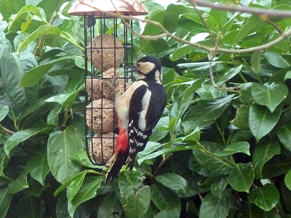 Oakenholt Farm Bed and Breakfast