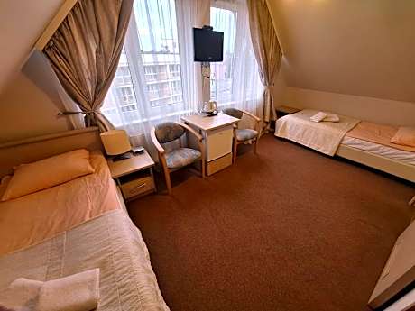 Large Double or Twin Room