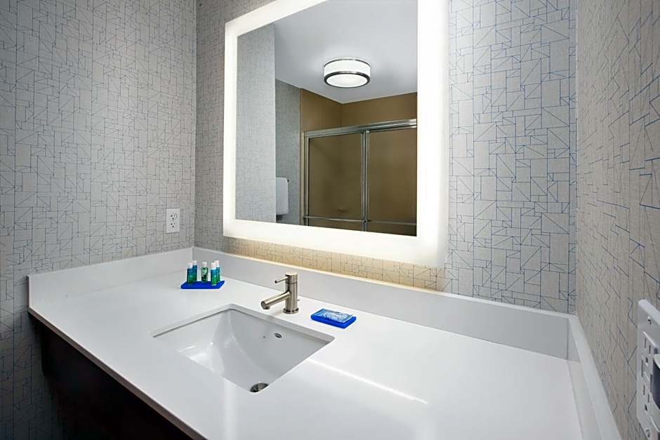 Holiday Inn Express Hotel & Suites Auburn Hills by IHG
