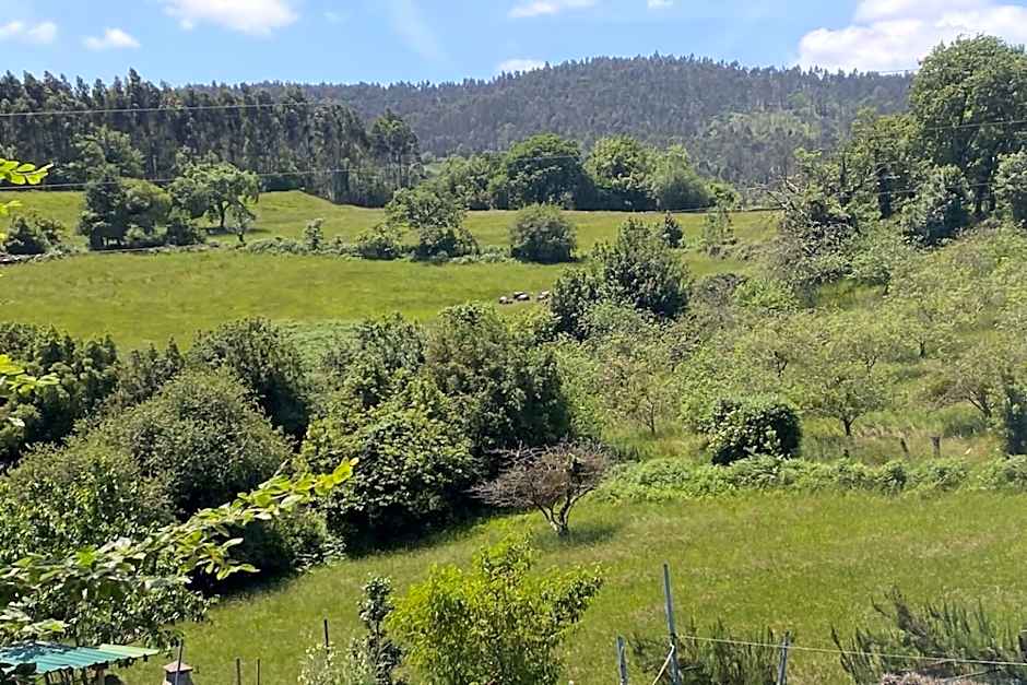 Olas y flores silvestres 2