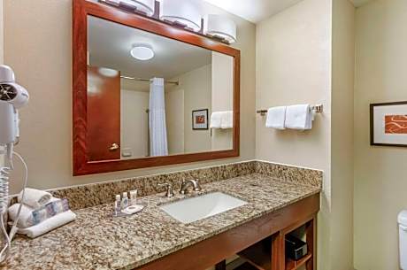 King Room with Roll In Shower - Accessible/Non-Smoking
