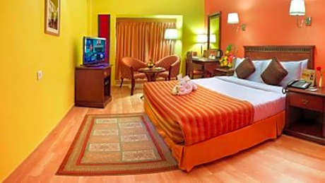 Superior Park View Room