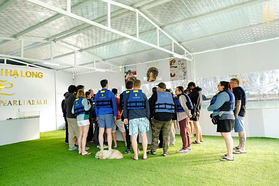 Halong Athena Cruise