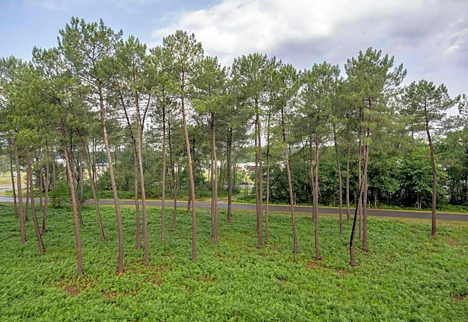 B&B HOTEL Mont-de-Marsan