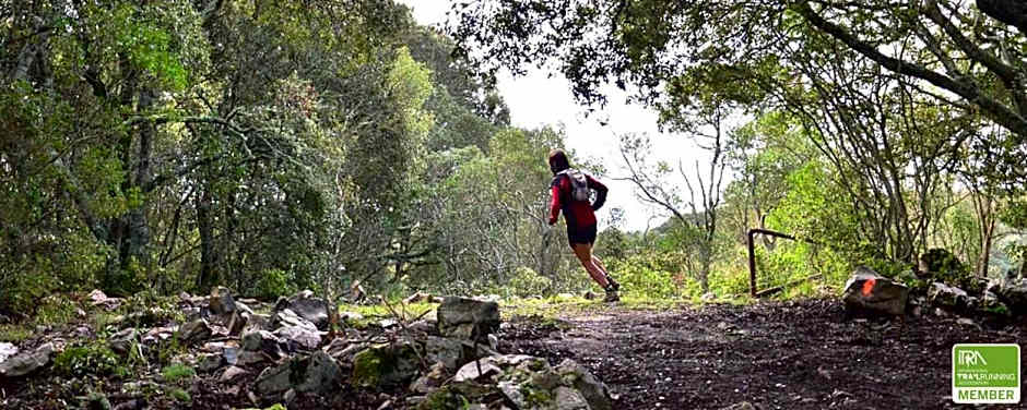 B&B Castello Salvaterra