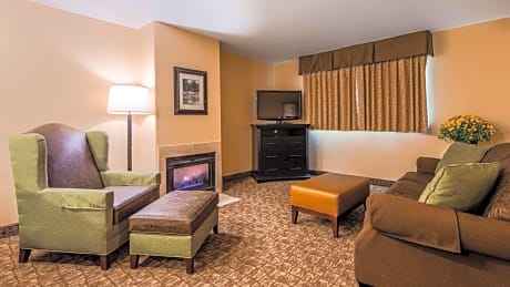 Suite-1 King Bed  Non-Smoking Fireplace Microwave And Refrigerator High Speed Internet Access Full B