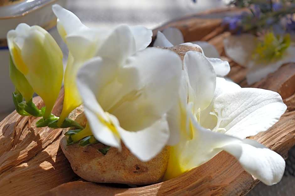 B&B Su Biancu - Sardinian Experience