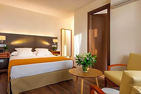 Double Room with Terrace
