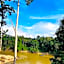 Taman Negara River View Lodge