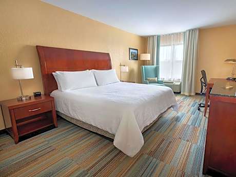 1 King Bed