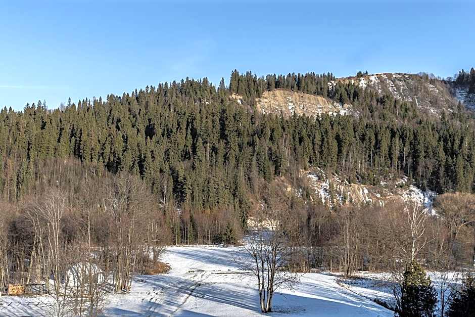 Hotel Litworowy Staw