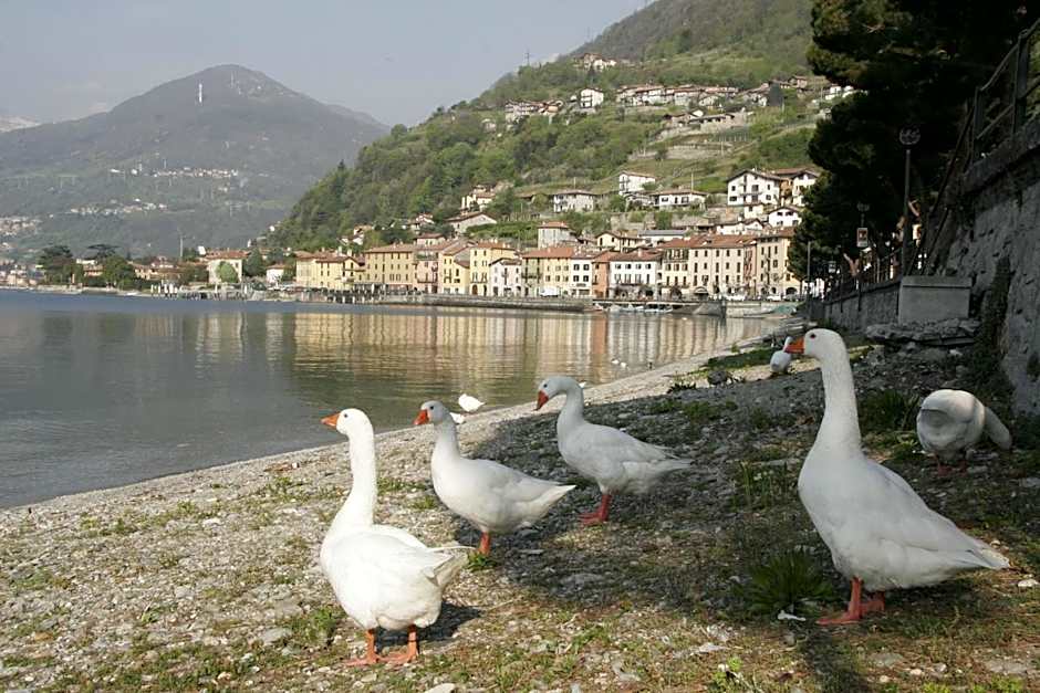 Hotel Bungalows Europa