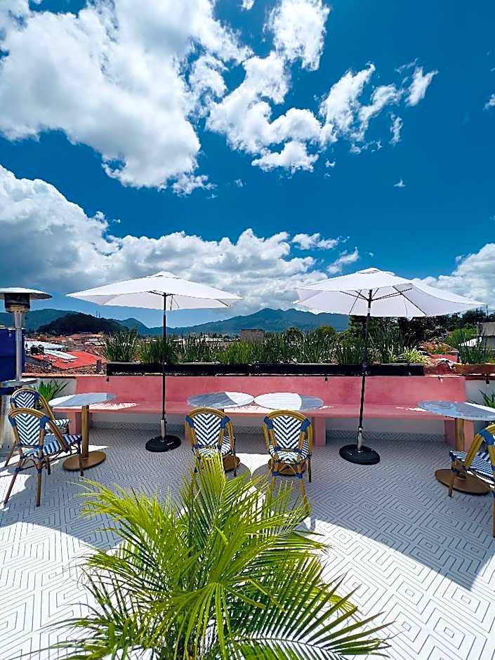 Hotel Suculenta Boutique