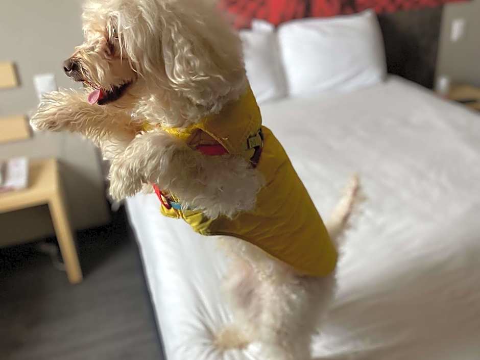 Ibis Mexico Tlalnepantla