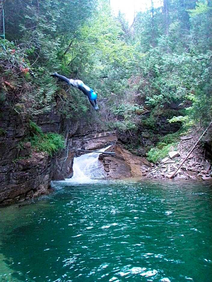 Auberge/Chalet Griffon Aventure