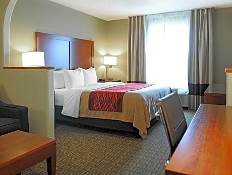 1 King Bed, Suite, Nonsmoking