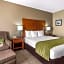 Comfort Inn & Suites Sacramento