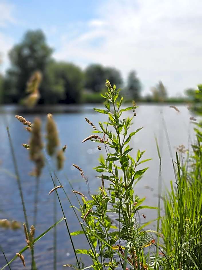Tiny House De Kwekfink