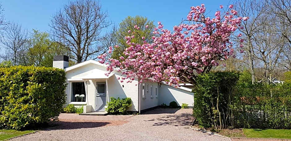 Holiday Park Dennenbos