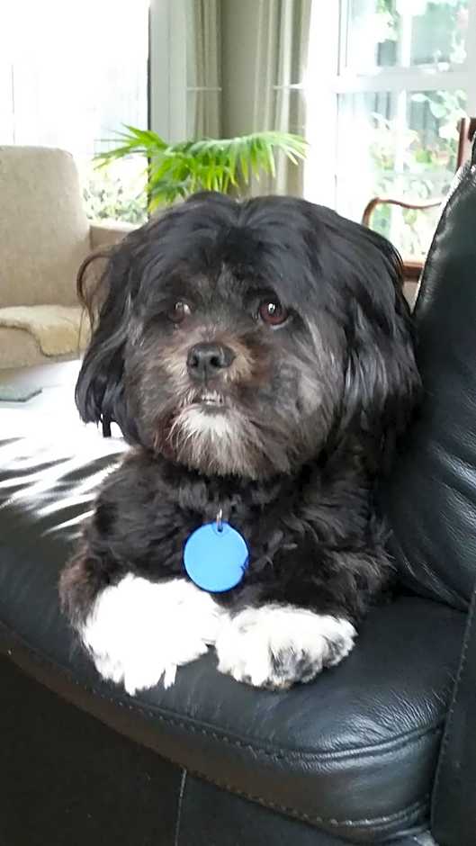 Olive House Bed and Breakfast