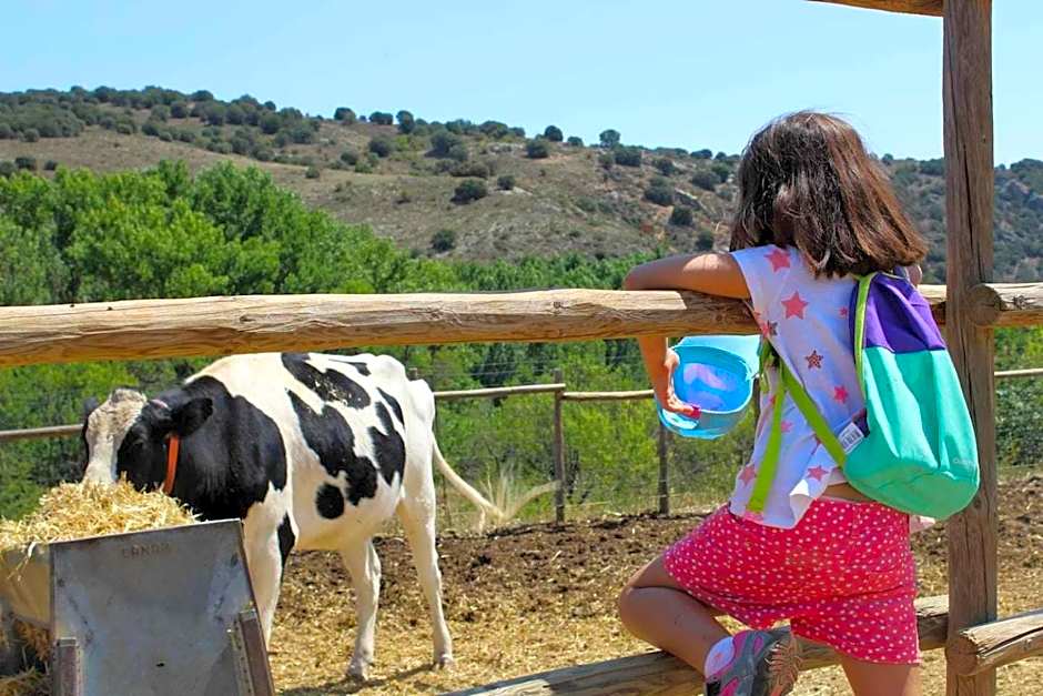 Casa El Tío Carrascón alojamiento rural