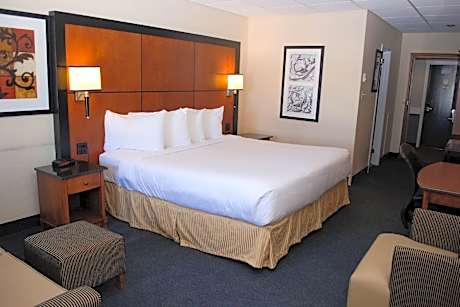 1 King Bed, Suite, Nonsmoking