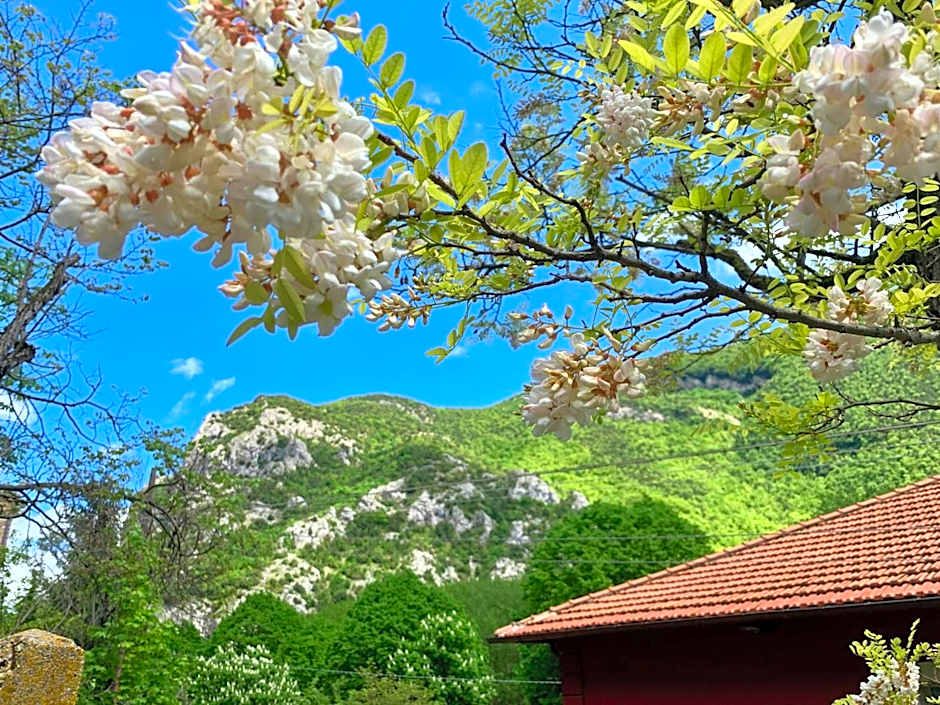 La Forestale Luxury Ecolodge B&B Primo Piano