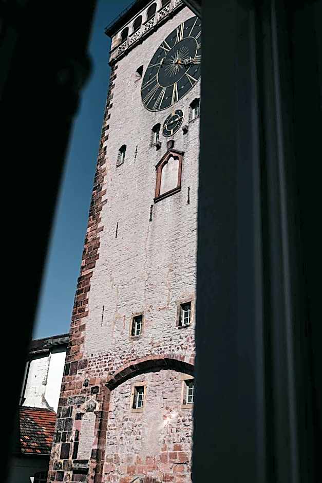 Maximilian Studios