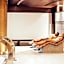 Spring Arona Gran Hotel - Adults Only