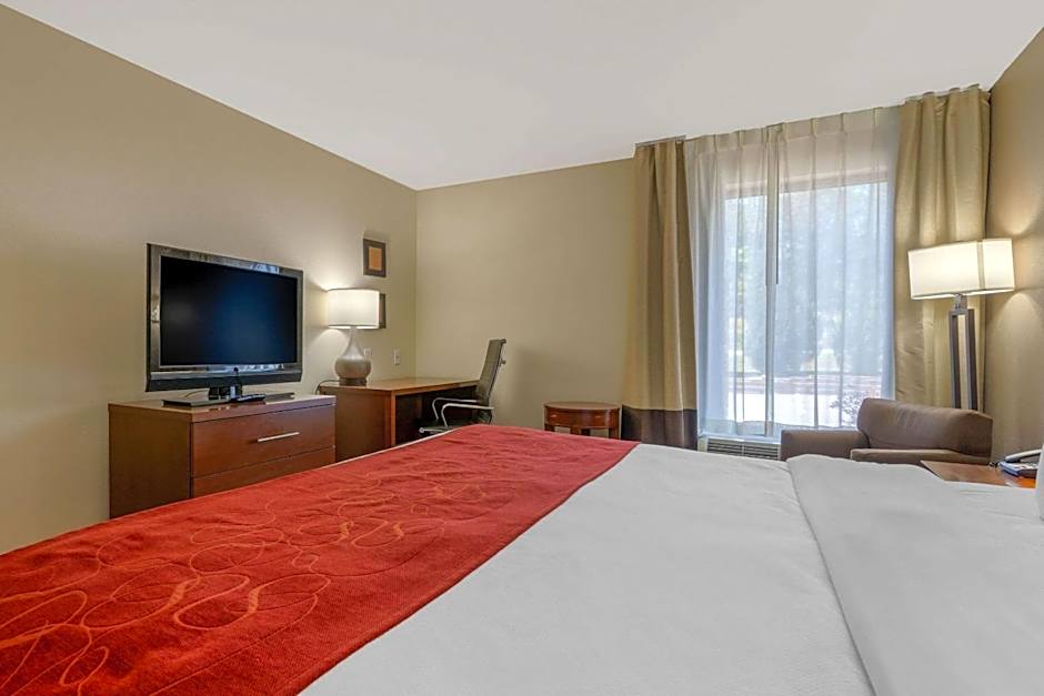 Comfort Inn & Suites Macon West