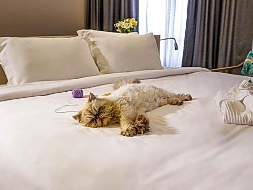 Mercure Florianopolis Convention Hotel