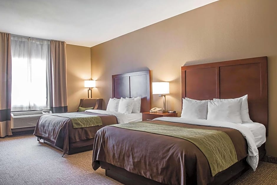 Comfort Inn Edinburg South