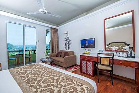 Deluxe with Mountain View