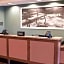 Hampton Inn By Hilton And Suites Dallas/Frisco North-Fieldhouse