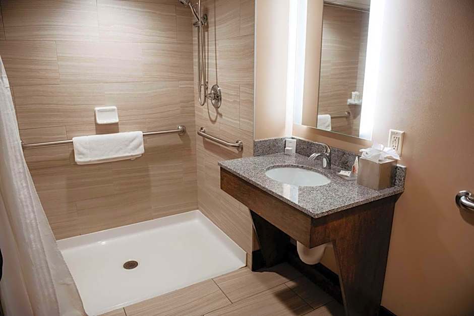 Radisson Hotel St Paul Downtown