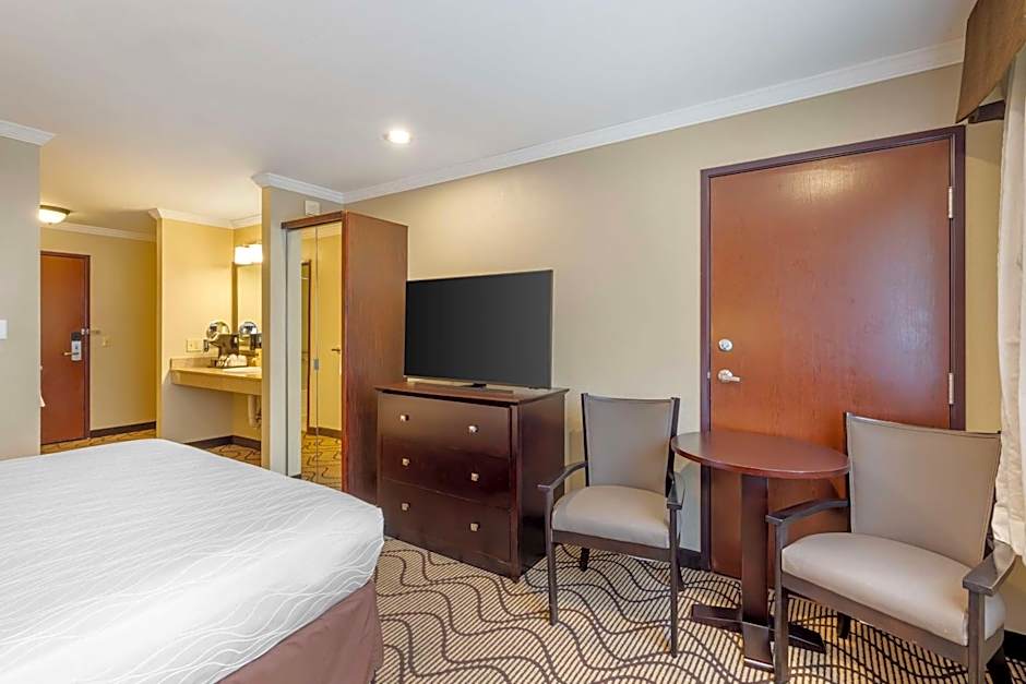 Best Western Plus Orchid Hotel & Suites