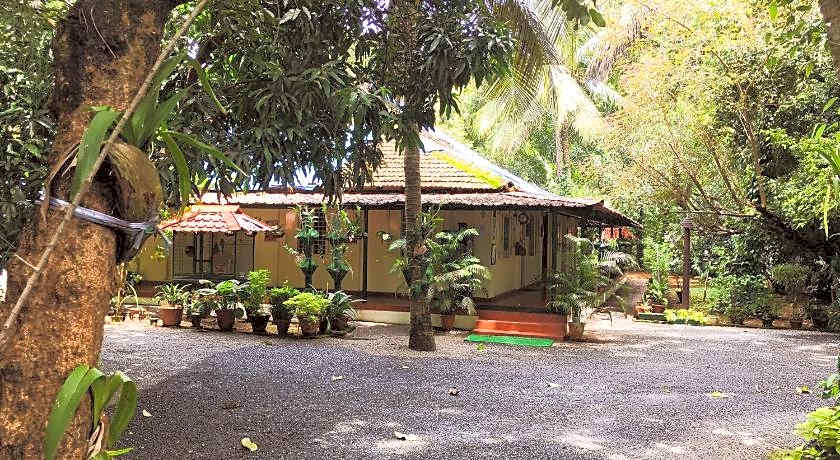 Palmgrove service villa