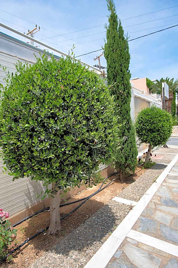 Matthias Hotel Apartments