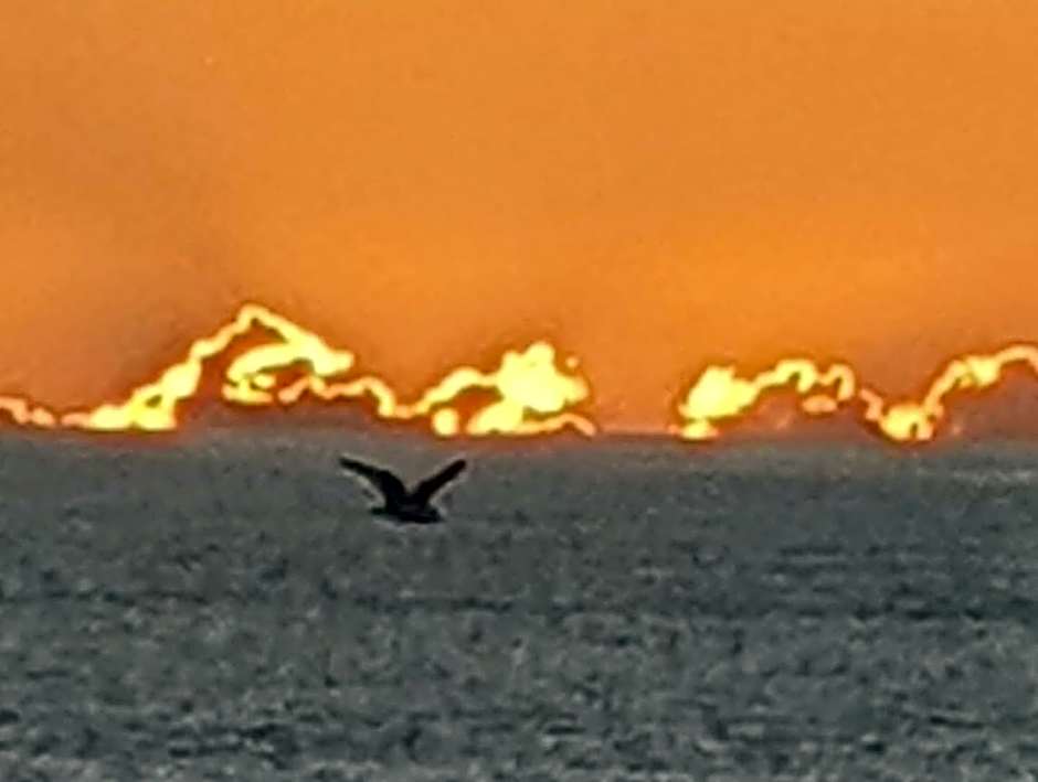 Coastal Oceanview 2bedrm 2bath Pool & Slide!