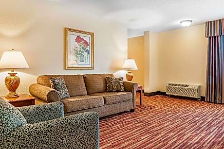 1 Bedroom Suite