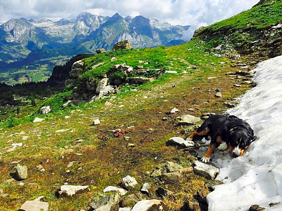 Zimmer & z'Morgä Schönenboden